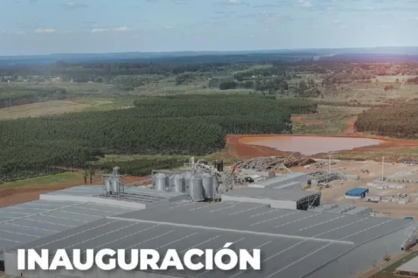 En Virasoro, Valdés encabezará la inauguración de la procesadora de madera ACON Timber