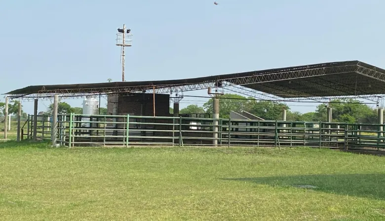 Frigorífico Goya: Crecimiento del 60% en faena bovino lo posiciona como el segundo en Corrientes