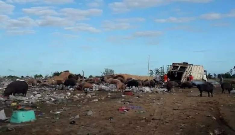 Clausuran un basural en Esquina por representar un riesgo ambiental y sanitario