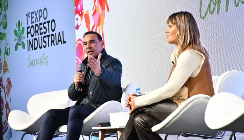 Valdés llamó a potenciar la forestoindustria como motor del desarrollo provincial y regional