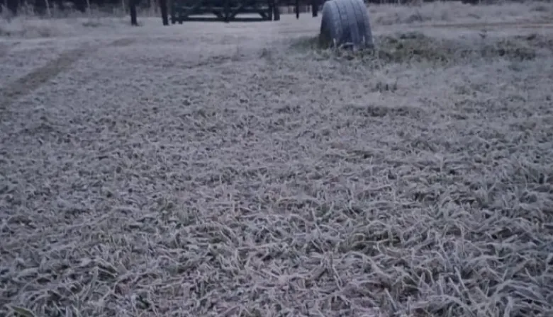 Amanecer helado: temperaturas inferiores a 4 grados bajo cero en Esquina
