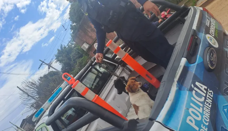 Comisaría 1ra Goya: Policía rescató a dos perros maltratados