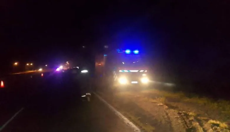 Caballo muerto tras colisión con auto en la Ruta 12 de Esquina
