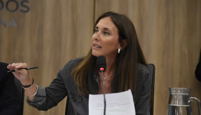 Brambilla propone crear un Plan Nacional de Formación en Cuidados Paliativos