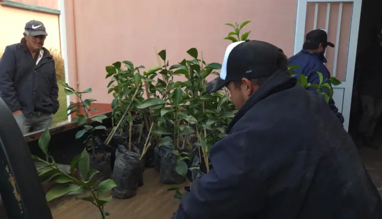 Entregaron 2.000 plantas a productores de Tres de Abril para impulsar la citricultura correntina