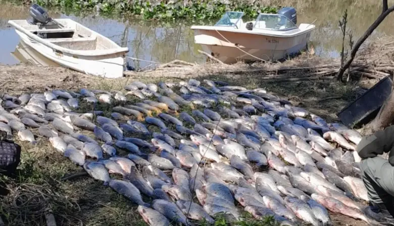 Esquina: Incautan más de 300 piezas de pescado en un campamento ilegal