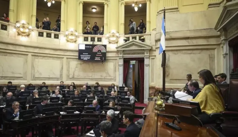 La Emergencia en Discapacidad es Ley: el Senado aprobó el rechazo al veto de Javier Milei