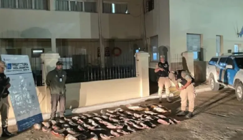 Millonario decomiso de pescados que eran vendidos ilegalmente