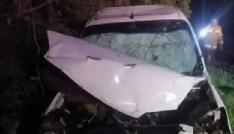 Ciclistas goyanos sufrieron un grave accidente tras esquivar carpinchos en la ruta