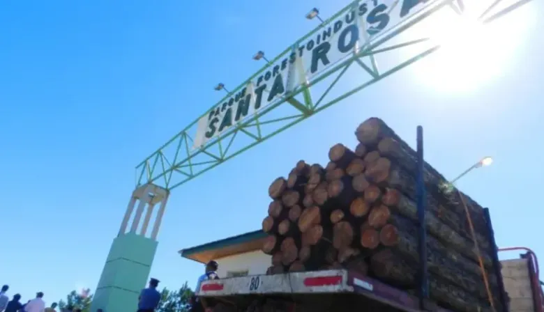 "Desafío muy grande": madereros de Santa Rosa viajarán a la India en marzo