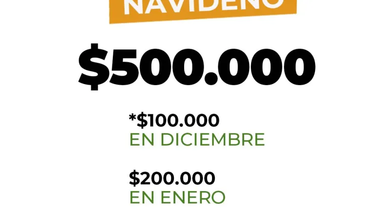 Lanzan el Bono de Navidad de $500.000, descuentos de hasta 40% en supermercados y una canasta con 7 productos