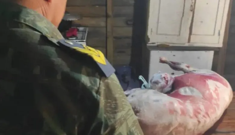 Esquina: faenó a la mascota de su vecina