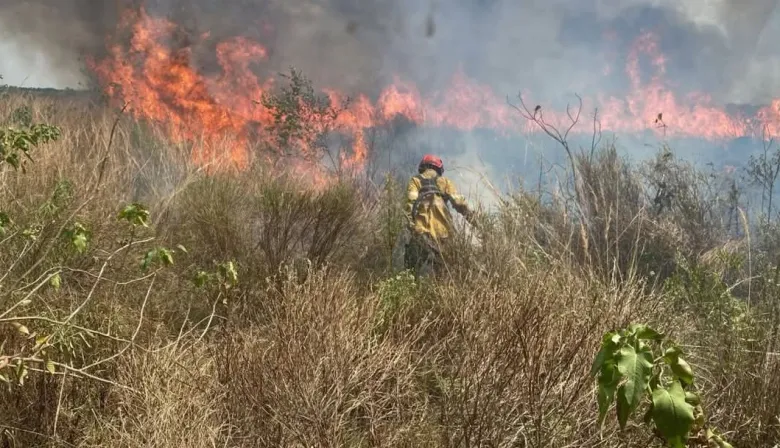 El Gobierno de Corrientes intensifica la campaña de prevención de incendios