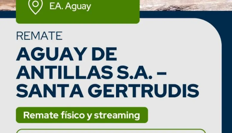 Remate de Reggi y Compañia Consignatario, martes 24-2-26