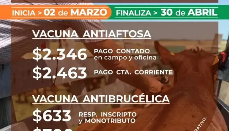 Primera campaña de vacunacion antiaftosa