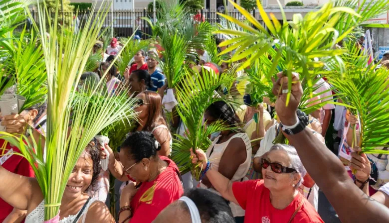 El Domingo de Ramos marcó el inicio de la Semana Santa: qué palmas se usan y qué no hacer con ellas