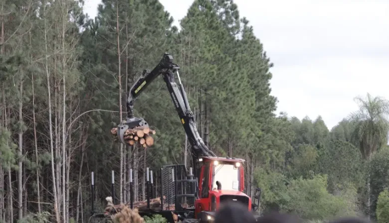 Entidades del sector forestal celebraron la mega empresa que se instalará en Corrientes