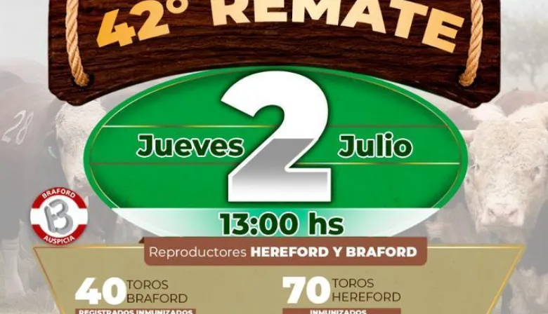 2 de julio, Ildarraz Hnos y Estancia Buena Esperanza remate anual