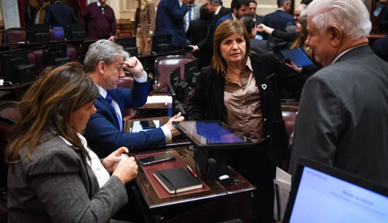 El oficialismo aplaza el tratamiento de la ley de propiedad privada por falta de apoyo en el Senado