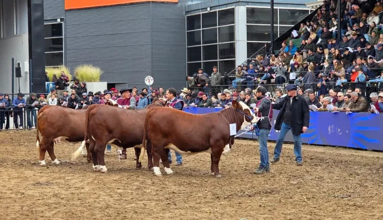 Corrientes exhibe su potencial ganadero y genético en la Expo Rural de Palermo