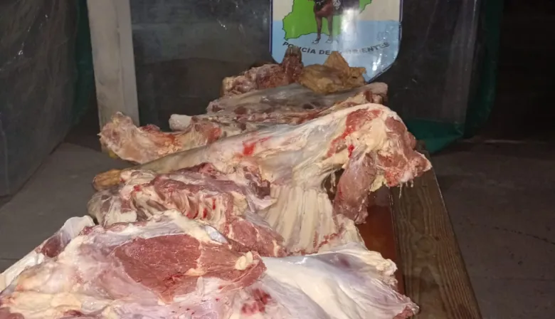 Llevaban una vaca completa tapada con una frazada