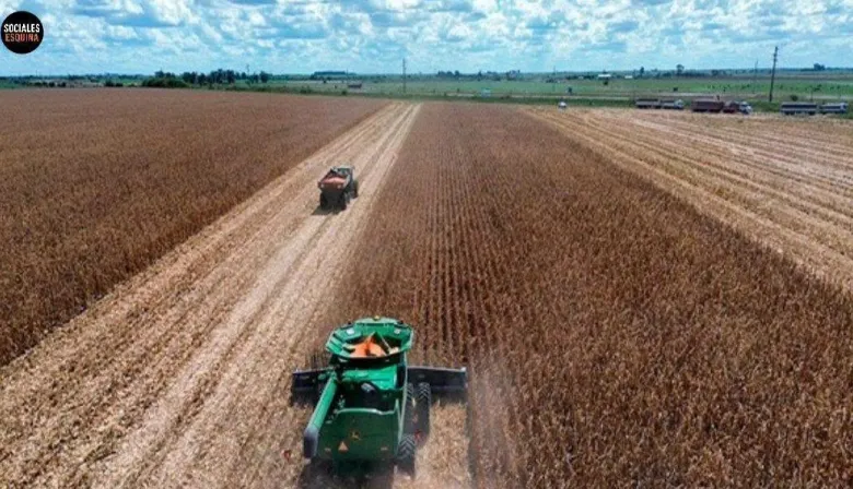 Corrientes evaluará el cultivo de maíz en 1.000 hectáreas para fortalecer la producción ganadera