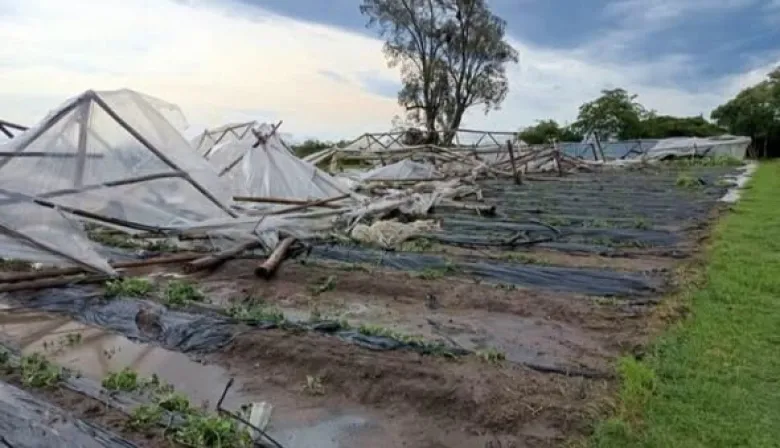 Un fuerte temporal provocó destrozos en Lavalle y afectó a productores