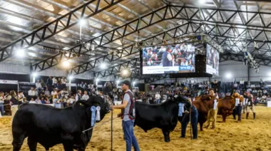 Expo Nacional: "En Corrientes hoy estamos en línea con el primer mundo"