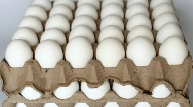 Alerta en el sector avícola por el contrabando masivo de huevos en la Argentina
