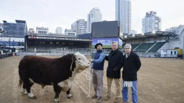 Llego "Escocés" a la Expo Rural 25, es el primer animal que ingresó a la exposición