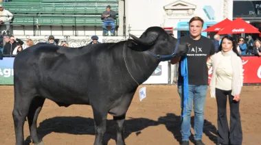 Los búfalos correntinos, protagonistas de la Expo Rural de Palermo