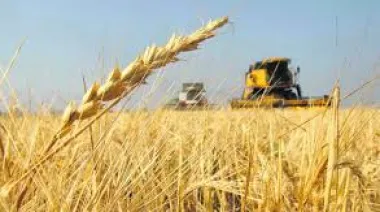 Récord productivo con señales mixtas: el agro proyecta 142 millones de toneladas para la próxima campaña