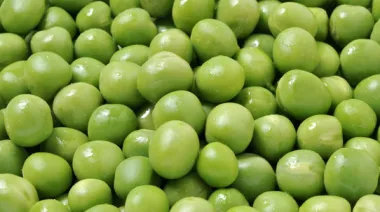 Exporta US$500 millones: una producción furor en el mundo podría ser la llave para más inversiones en el país