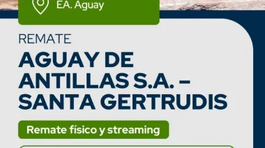 Remate de Reggi y Compañia Consignatario, martes 24-2-26