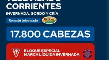 27/2/26 Reggi y Compañia: Gran Remate Televisado Corrientes, invernada, gordo y cria