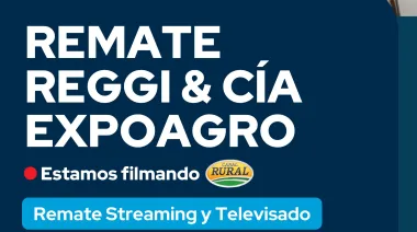 Remate Reggy y Compañia en Expoagro 11 marzo