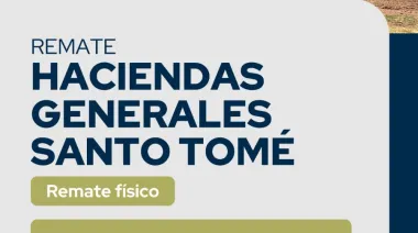9 de Abril: Reggi y Compañia. Gran Remate de Haciendas Generales en Santo Tomé