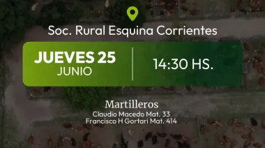 25 de junio, Gran Remate de Chepiré, Haciendas Generales
