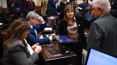 El oficialismo aplaza el tratamiento de la ley de propiedad privada por falta de apoyo en el Senado