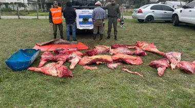 Secuestran 450 kilos de carne clandestina, una camioneta y detienen a dos hombres