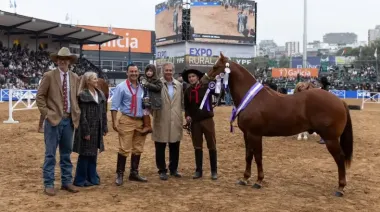 Exposición Rural de Palermo: Un ejemplar criado en Mburucuyá fue distinguido entre los mejores Cuarto de Milla del país