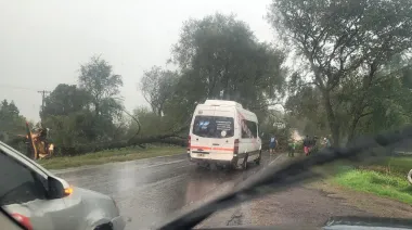 Fuerte temporal azotó la Tercera Sección El Carmen: caída de árboles, postes y cortes de energía