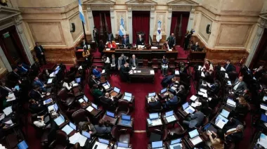 El Senado logró la media sanción de la Ley de Propiedad Privada tras eliminar el capítulo de Manejo del Fuego