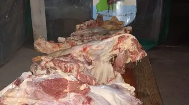 Llevaban una vaca completa tapada con una frazada
