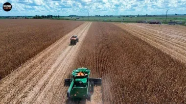 Corrientes evaluará el cultivo de maíz en 1.000 hectáreas para fortalecer la producción ganadera