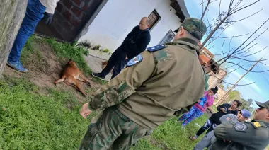 Esquina: Mató a balazos a un perro: la Policía Rural allanó su casa y lo metió preso