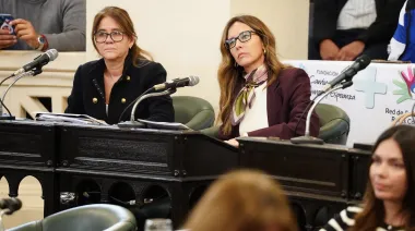 La Cámara de Diputados de Corrientes aprobó el proyecto de Brambilla para prevenir suicidios en el Puente General Belgrano