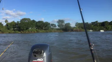 Alerta en el Paraná: Corrientes impuso una veda extraordinaria para proteger al dorado