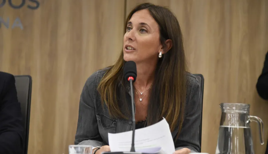 Brambilla presentó un proyecto para disolver el cuestionado Instituto Nacional de la Yerba Mate