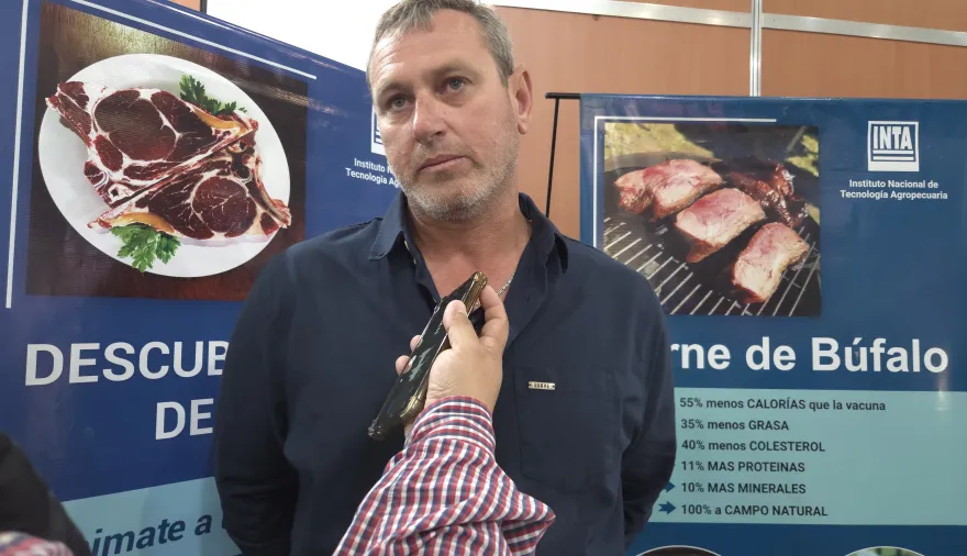 Impulsan que la carne de búfalo forme parte del menú escolar en Corrientes